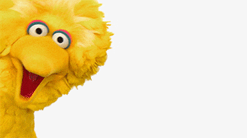 Sesame Street Hbo Now GIF by HBO