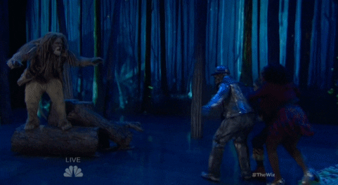 the wiz