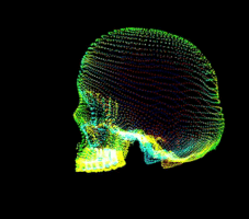 taxidermist skull glitch GIF