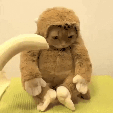 Sad Monkey Gifs Get The Best Gif On Giphy