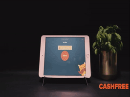 maxdevos betalen betaal cashfree ontvangen GIF