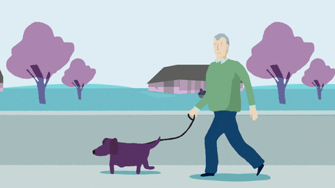 Featured image of post Animated Dog Walking For banner flyer brochure design