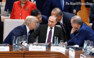 tomadelsbach donald trump #maga GIF