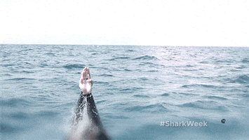 Michael Phelps Discovery GIF by Shark Week