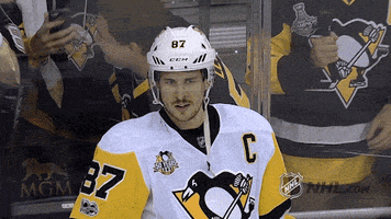 stanley cup playoffs GIF by NHL