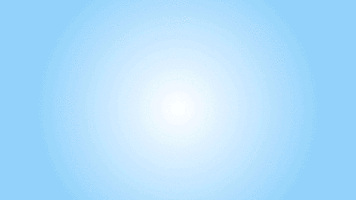 wild  GIF
