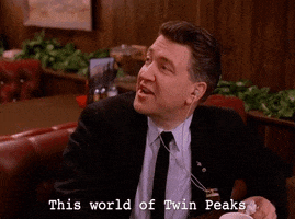 Season 2 GIF by Twin Peaks on Showtime