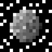 Black And White Pixel GIF by 16-x-16