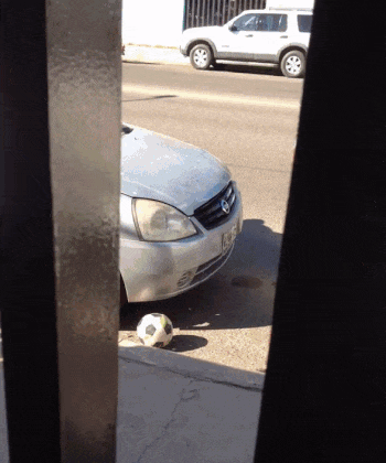 krasodad  GIF