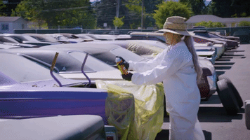 GraveyardCarz funny help human resources wasp GIF