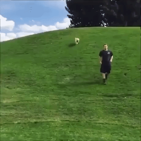 chandler  GIF