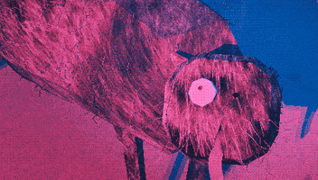uglyfilm glitch eagle ugly simulated GIF