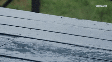 Viceland GIF by Earthworks