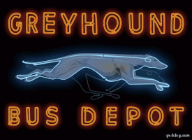 qwkdog #qwkdog #greyhound #neon GIF