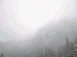 sid713  GIF