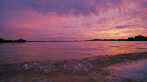 giphy.gif?cid=ecf05e474d058e987f4fd200dca37c054ca4026d40245bd8&rid=giphy.gif