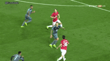 wesport  GIF
