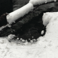 Snow Day Otter GIF by Oregon Zoo
