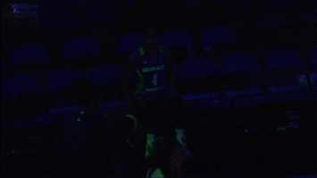 let's go basketball GIF by WNBA