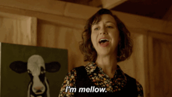 i'm mellow kristen schaal GIF by The Last Man On Earth