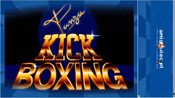 amigowiec game retro fighting kickboxing GIF