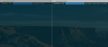 atomicsmash wordpress wp-cli atomic smash GIF