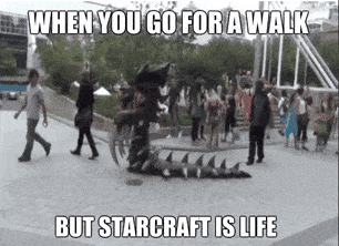 Starcraft meme gif