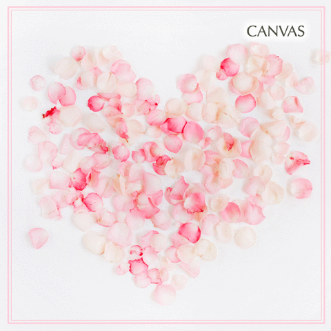 canvas  GIF