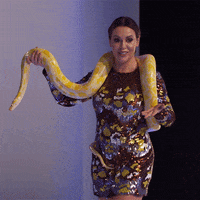 200.gif?cid=fc005b082091f66fdaa6c970e42b8e706721247bd51e2ae6&rid=200.gif&ct=g