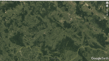 Forest Croatia GIF