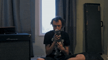 cat kiss GIF by Polyvinyl Records