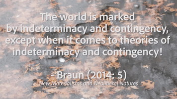 Braun Contingency GIF