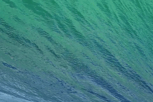 Start Skype Call GIF