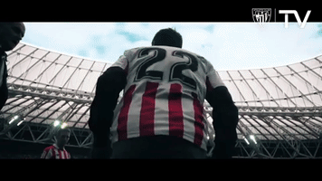 Pelotari Asegarce GIF