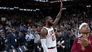 Image result for thank you lebron gif