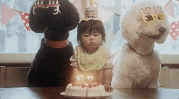 fix me happy birthday GIF by Beck