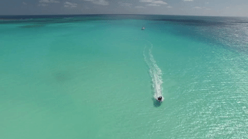 Ocean Svdelos GIF