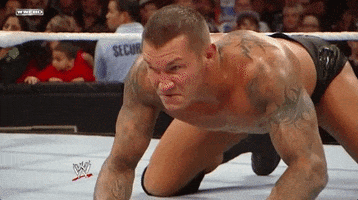 angry randy orton GIF by WWE