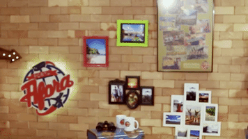 GIF by Porta Afora