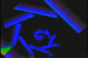 Video Art Glitch GIF