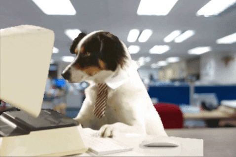 Office-dog GIFs - Get the best GIF on GIPHY