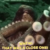 scared blue planet GIF by OctoNation
