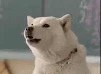 Dog Bark Gif