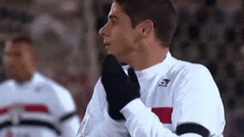 Rogerio Ceni Futebol GIF by São Paulo FC