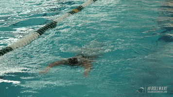 pool swimming GIF by GreenWave