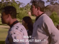 Did He Just Say That GIFs - Find & Share on GIPHY