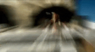 Hanson GIF