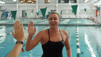 high five pool GIF by GreenWave