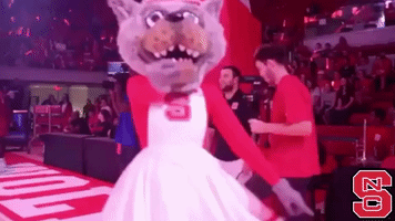 nc state mascot GIF by NC State Athletics