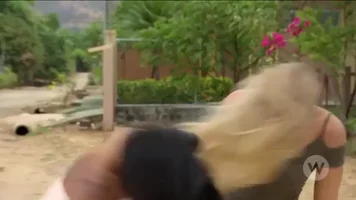 the bachelor hair flip GIF by w_network